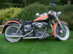 Harley46