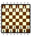 chessplayer