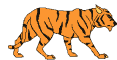 TigerPhil