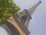 Mistiflore