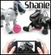 ShanieAIBO