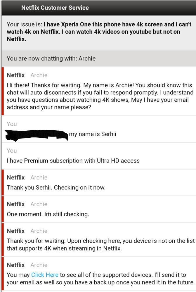 Netflix Chatting