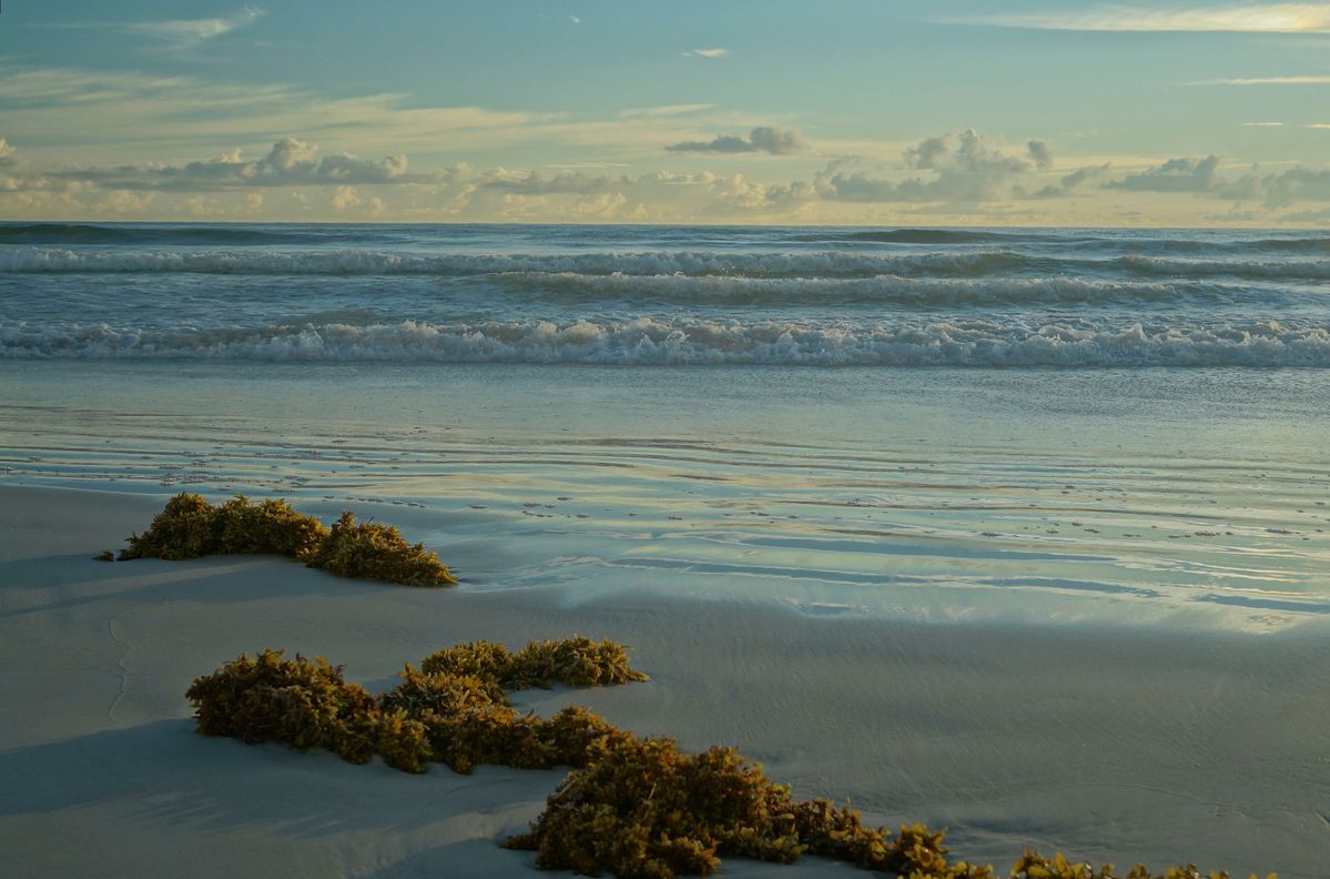 Daytona Beach Florida