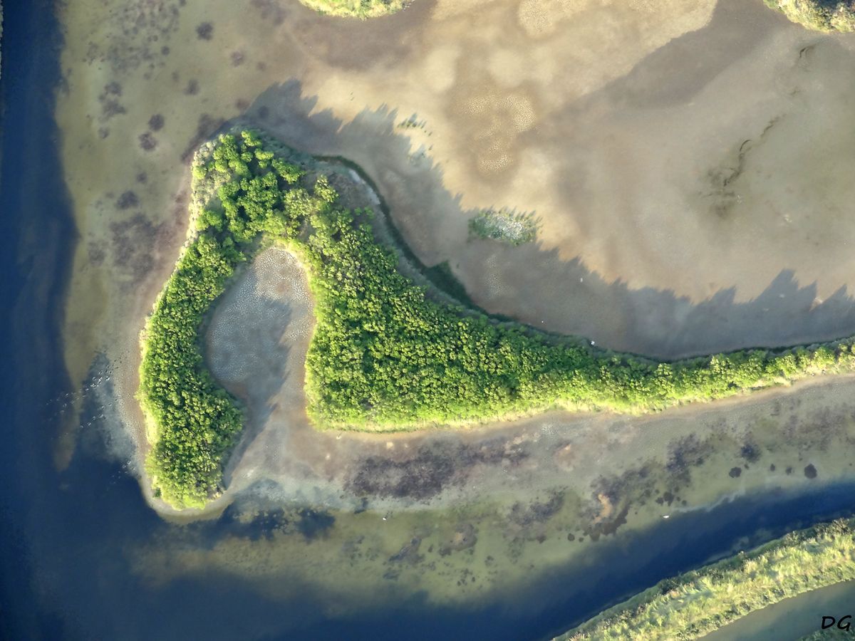 ilot de verdure dans les marais salant de guerande ( vol paramoteur)