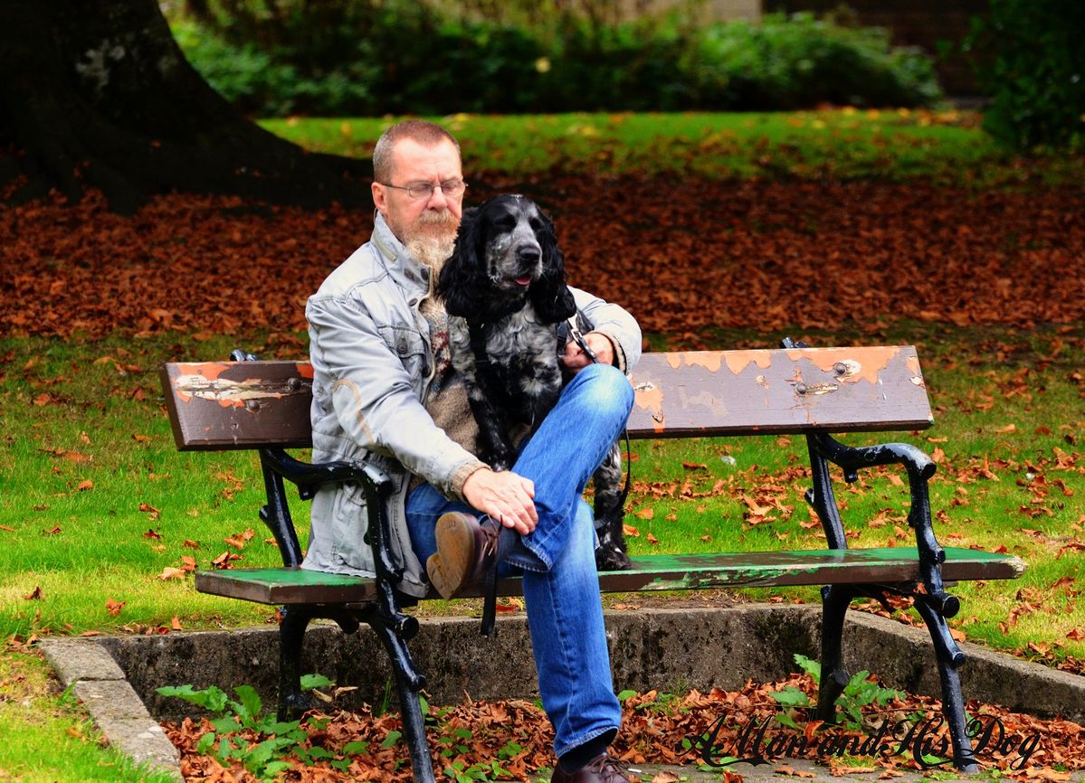 people in the park