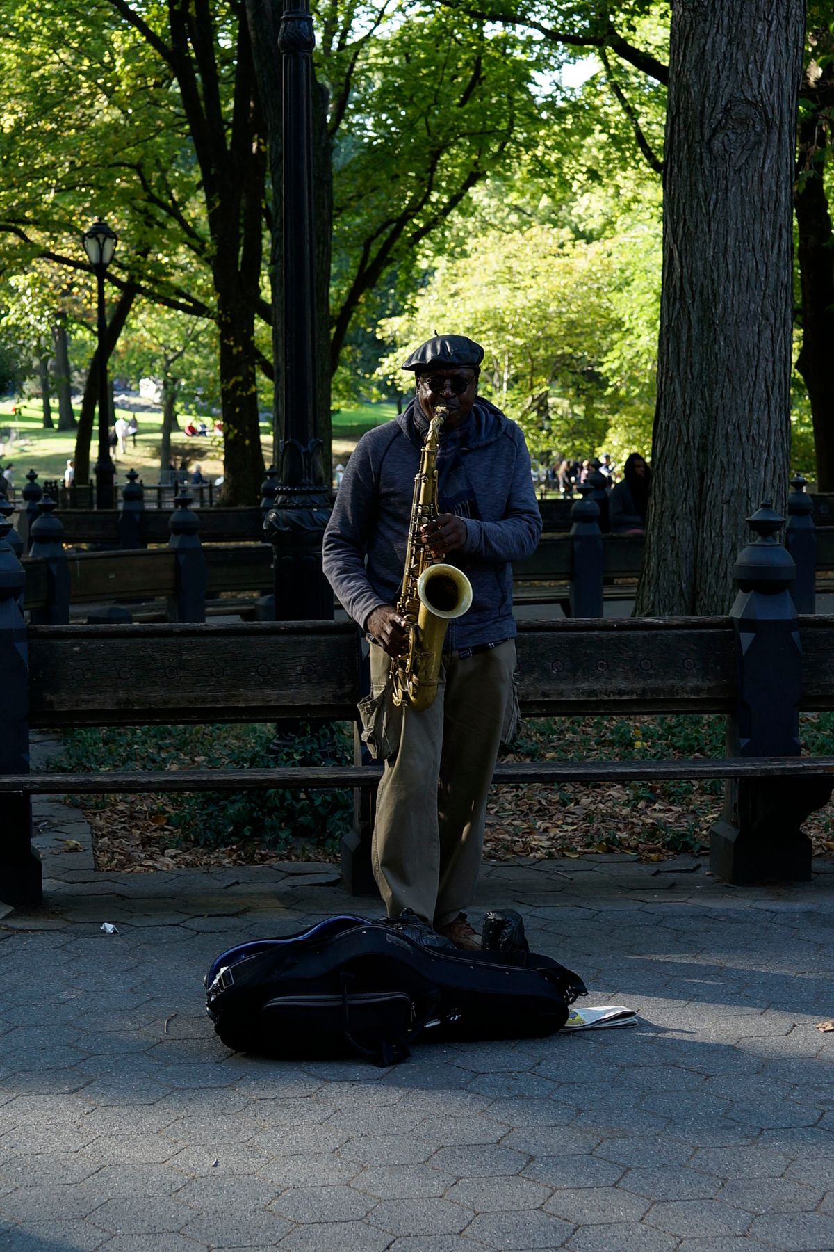 Street musician - Central Park  NYC