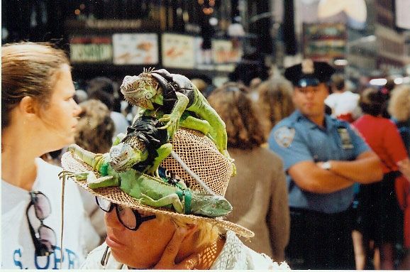 une newyorkaise promène son iguane sur son chapeau