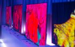 DSC01130.jpg