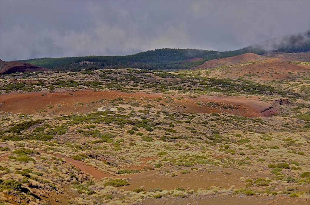 Lesbos - De Teide nov. 2013