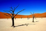 Loic Brohard. This photo was taken in Namibia. Sossusvlei is a salt pan in the central Namib Desert. Fed by the Tsauchab River, it is known for the high, red sand dunes which surround it, forming a major and impressive sand sea. More precisely this photo shows Dead Vlei, a clay pan surrounded by the highest sand dunes in the world, some reaching up to 300m, which rest on a sandstone terrace.