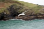 2012 Port Isaac Cornwall UK