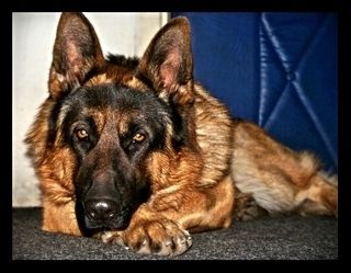 Najlepszy przyjaciel ;)