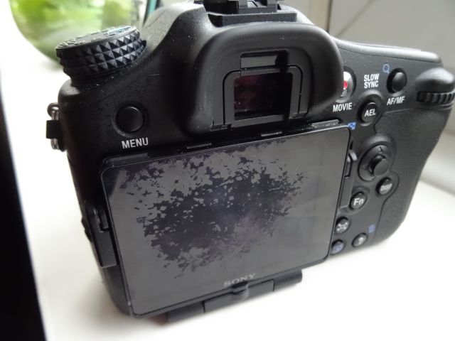 DSC00872.JPG DSC00872.JPG