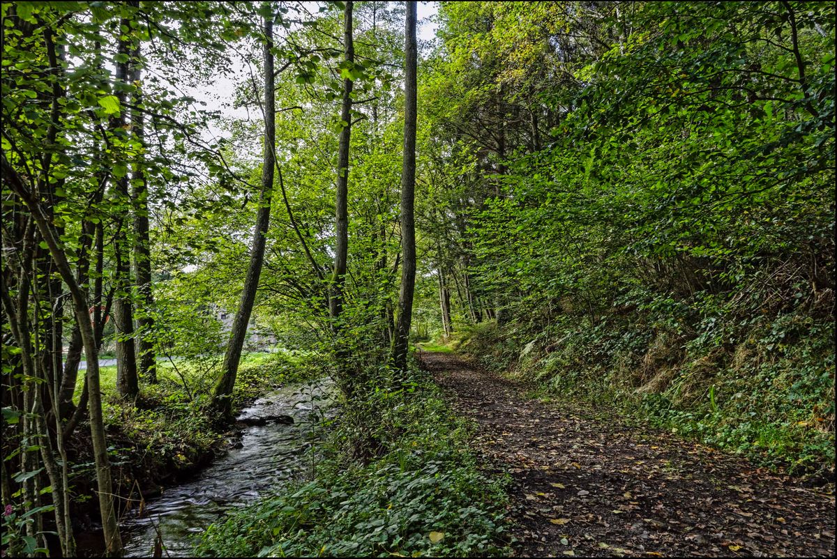 Promenade à Rendeux