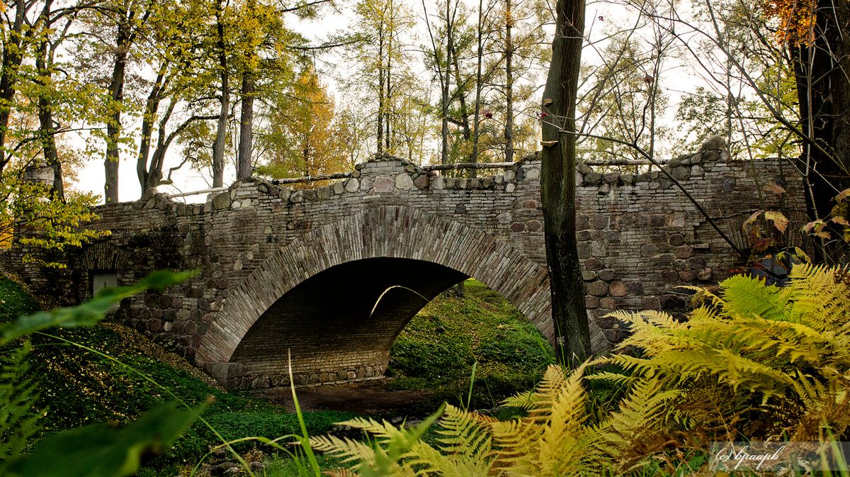 Peterhof | Alexandria | Ruin bridge