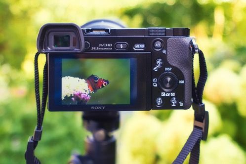 Why the A6000 is still a good buy by Albert Dros_Seite_1_Bild_0003.jpg