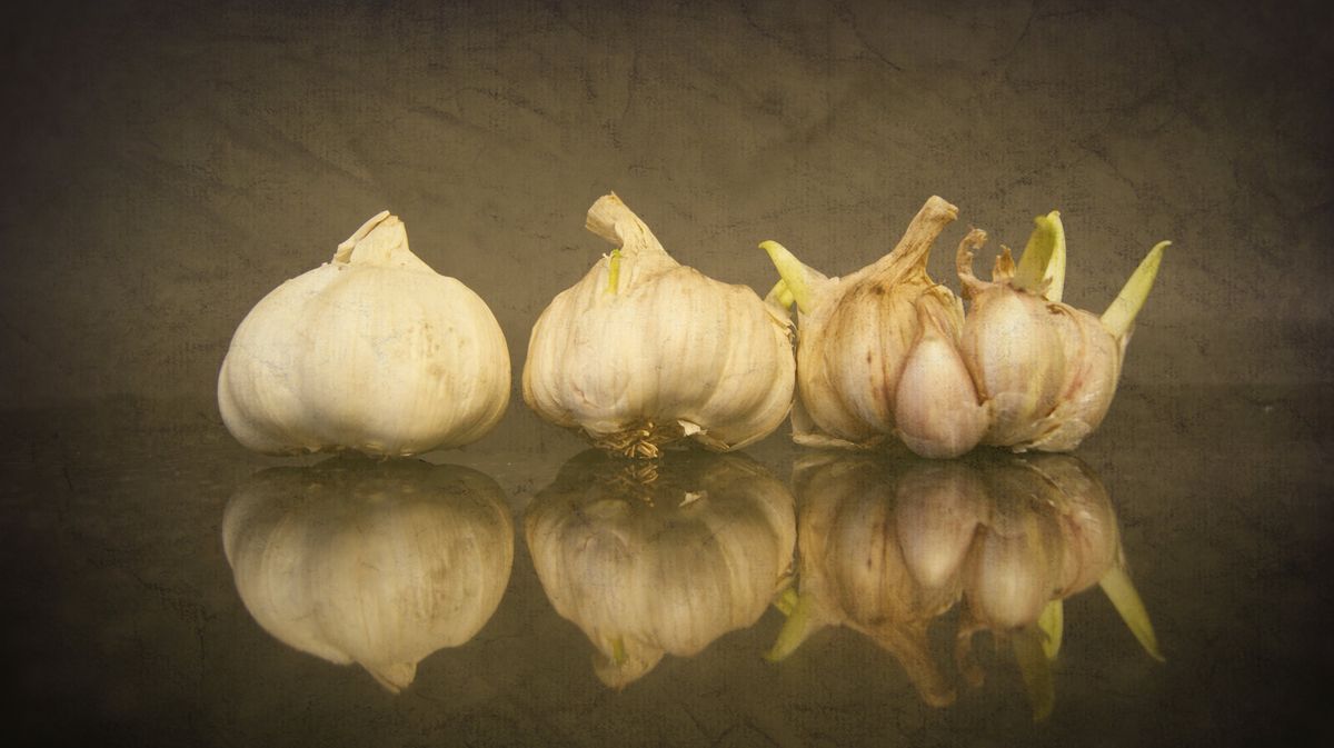 There is no such thing as a little garlic...