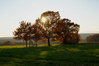 (2. version vom bild)