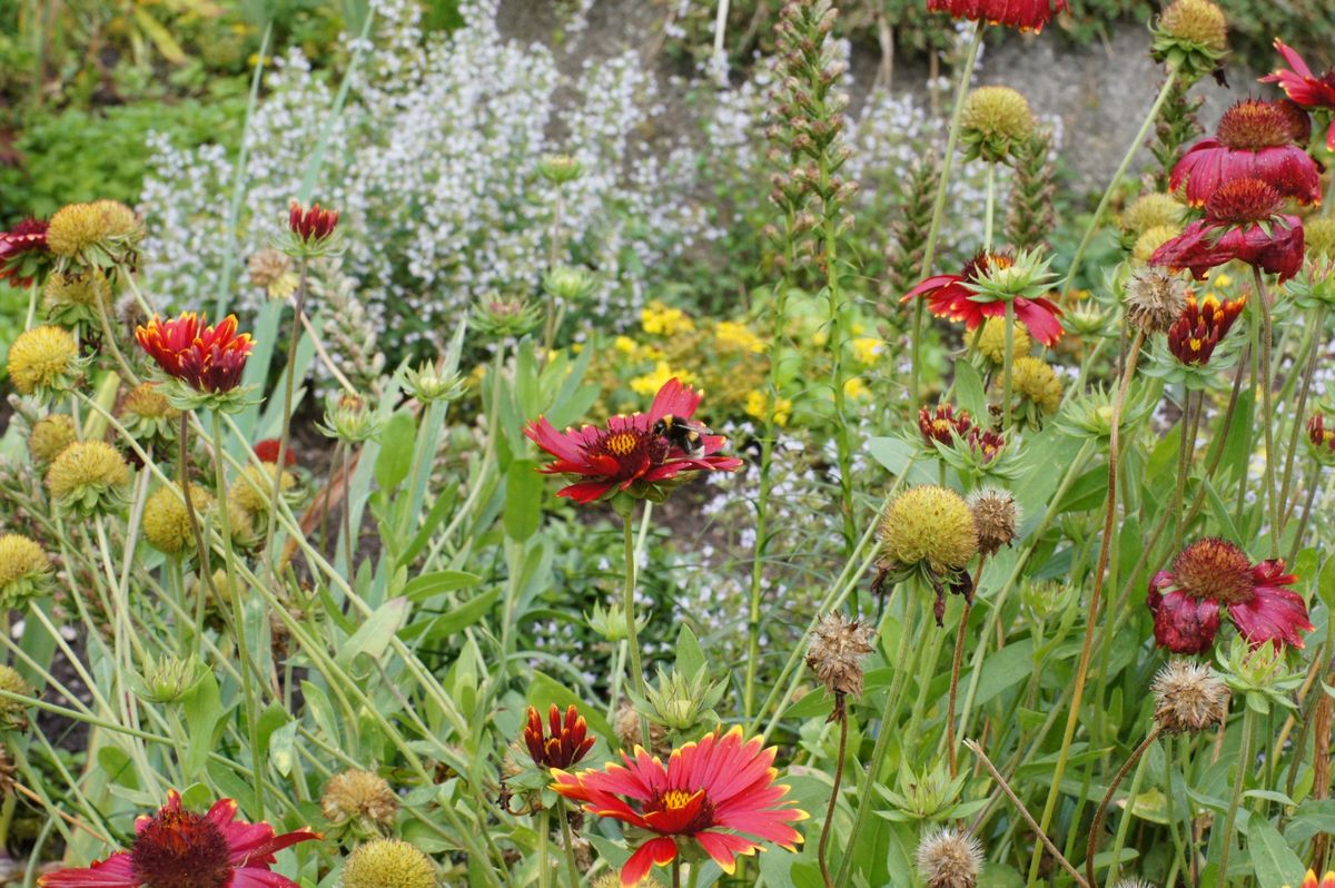 Planten & Blomen, Hamburg