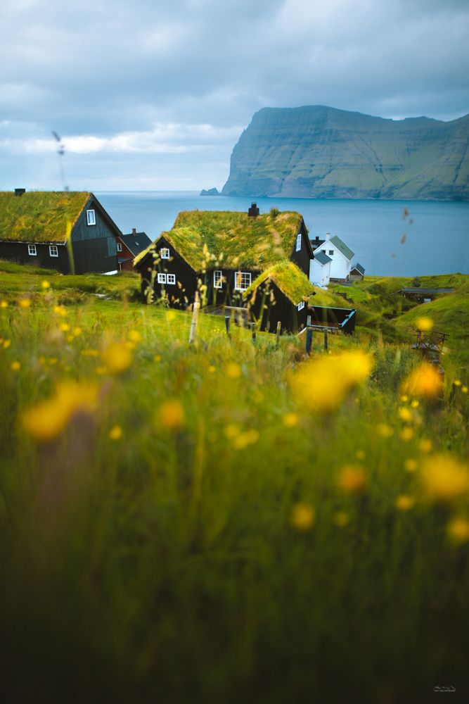Green roofs of the Faroe Islands