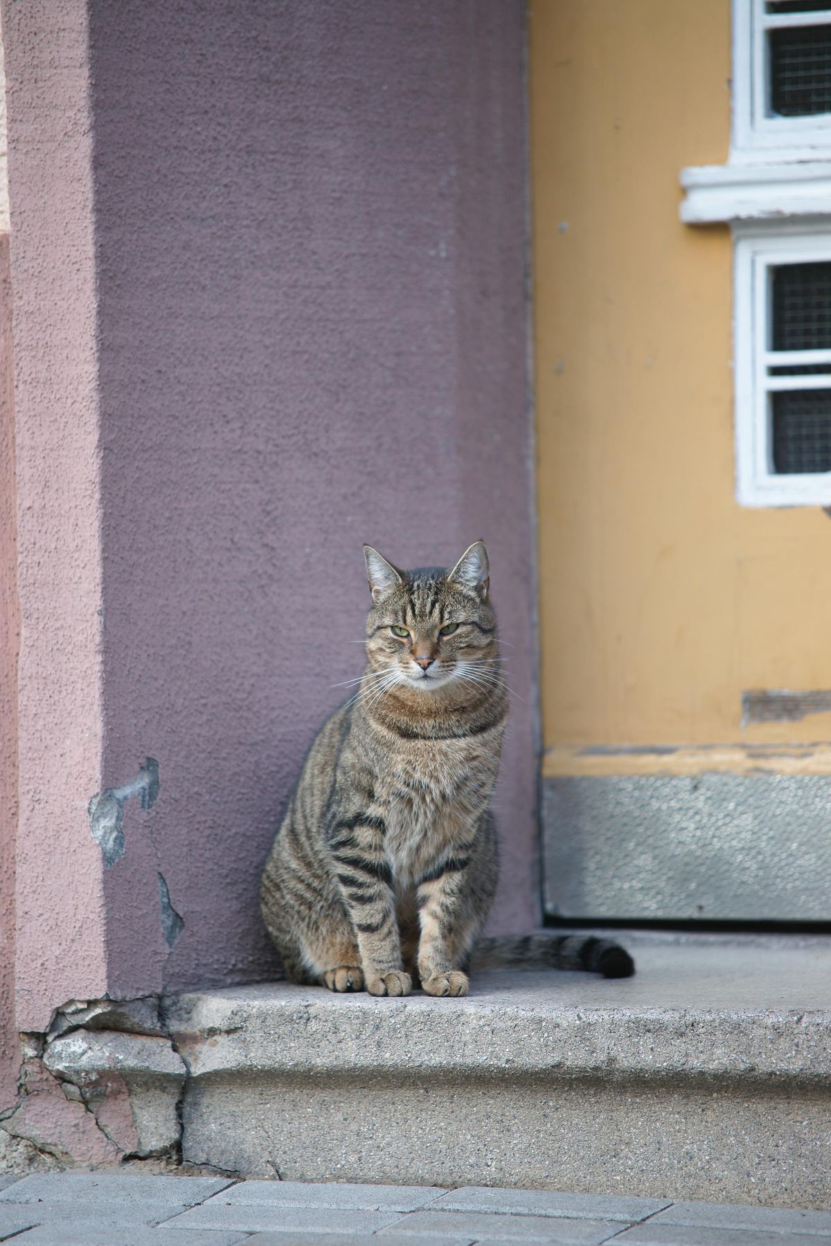 Auch eines der ersten Fotos mit der 900. Zufällig am Wegesrand entedeckt und sie ist zum Glück nicht weggerannt!