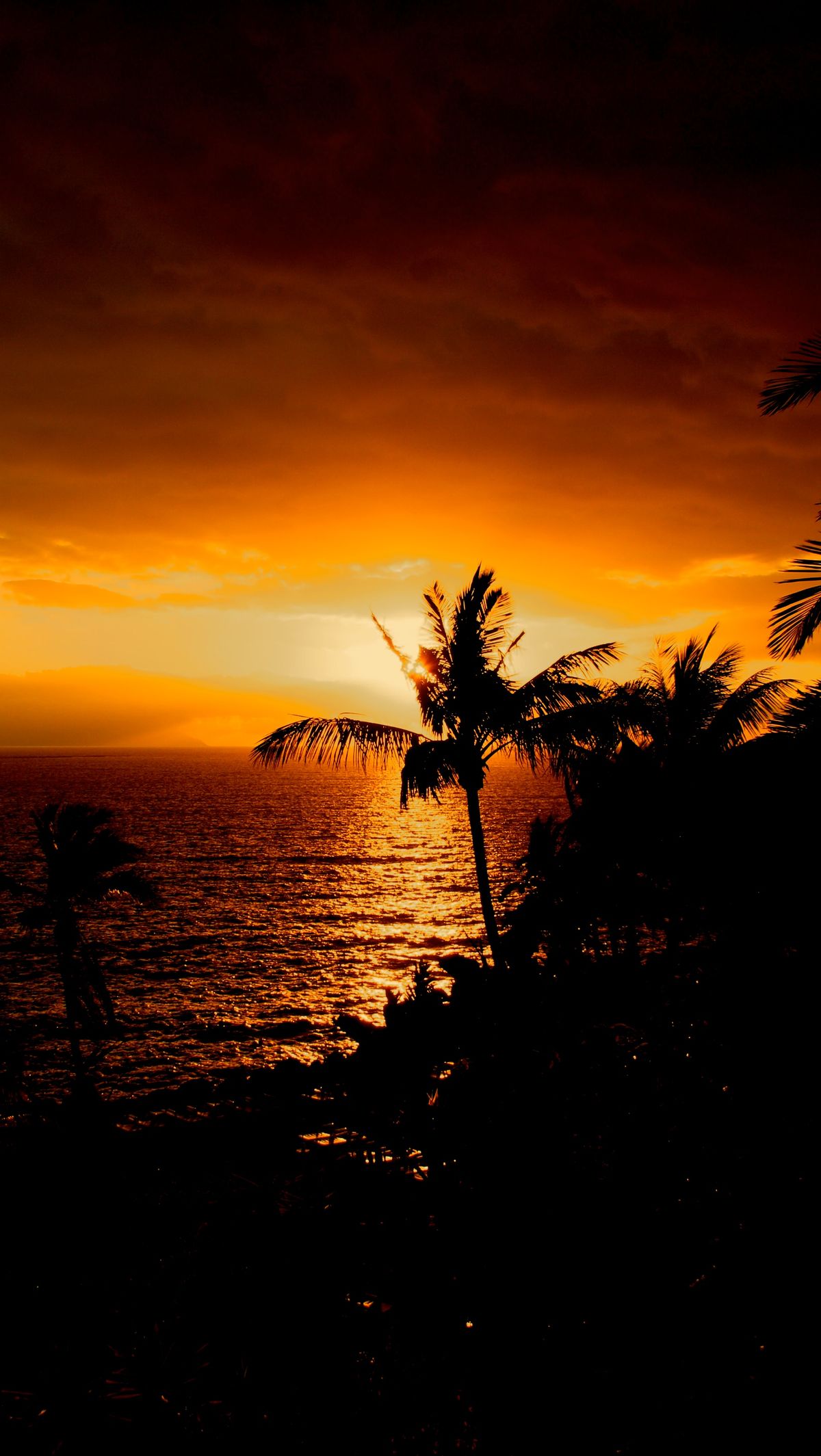 Taken by using Alpha 700 and 16-105 Carl zeiss lens at Tenerife.