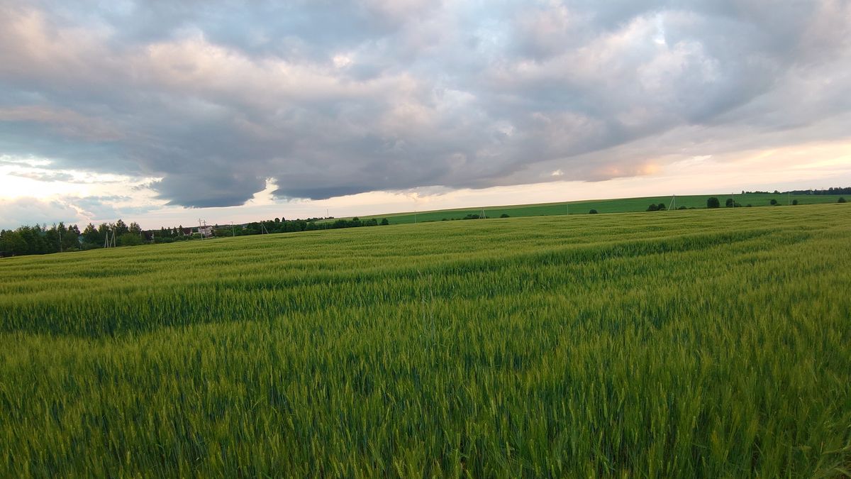 Zhodino, Belarus