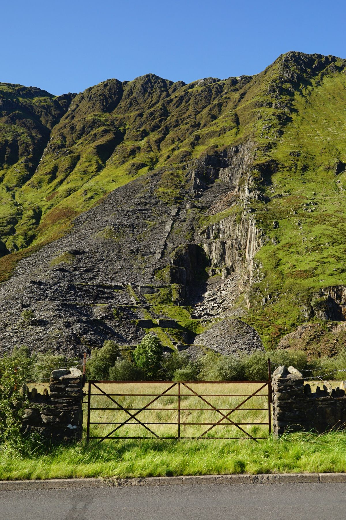 View From The gate