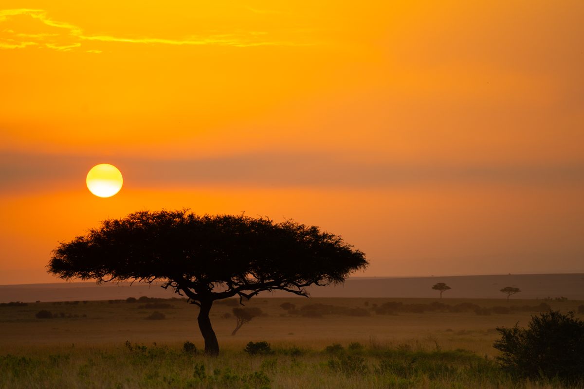 Masai Mara Sunsets