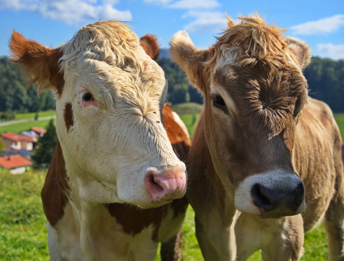 Immer hübsch lächeln Mädel´s!