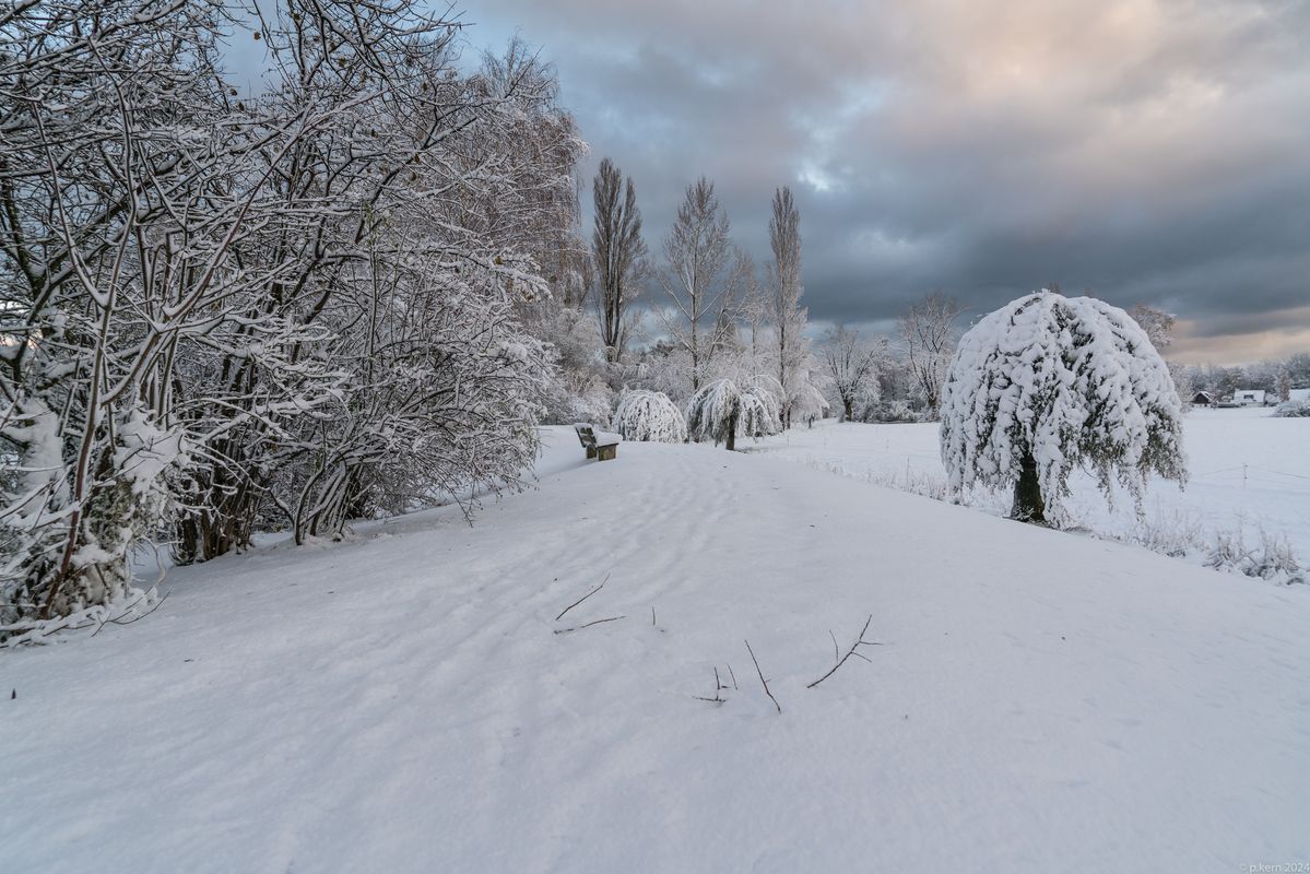 Früher Schneefall dieses Jahr, eher selten so nah am See