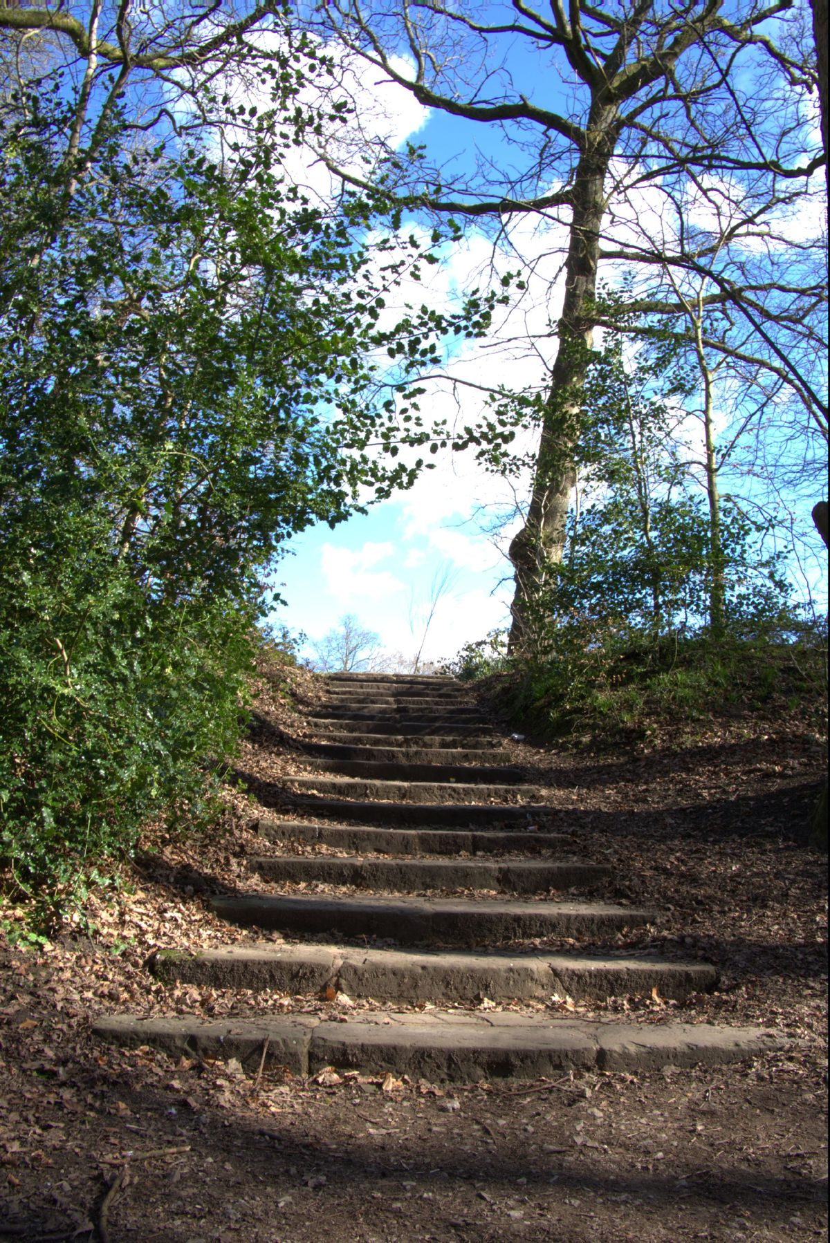 steps