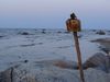 Sunset on the beach in Kurland (Latvia)