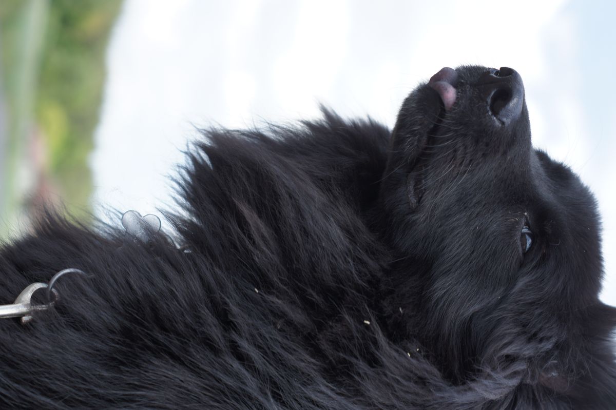 mein Lieblingsmodell ist ein wenig abgenervt ;-)