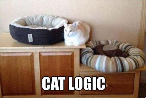 cat-logic.jpg