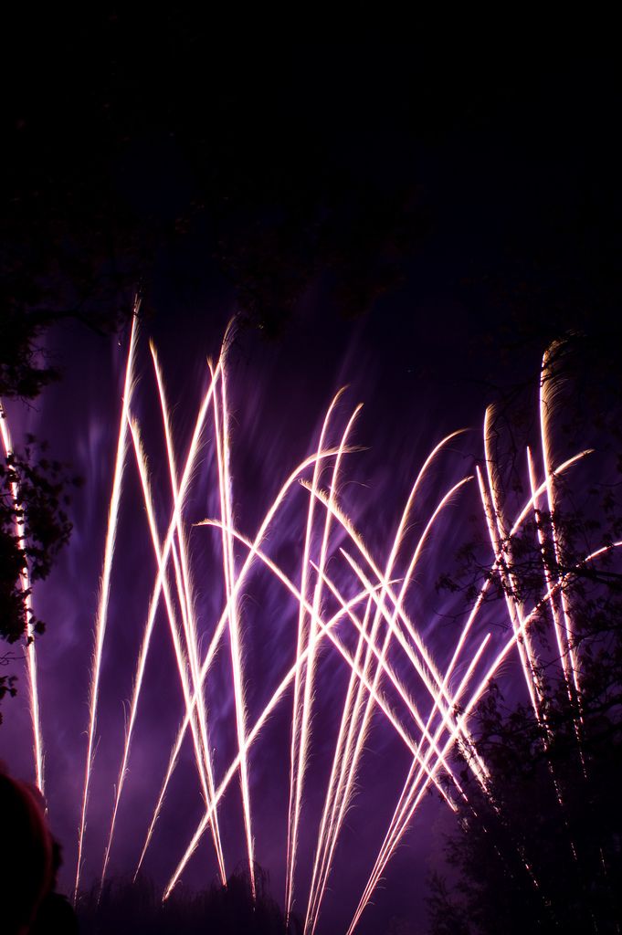 Un 14 juillet à Vanves.