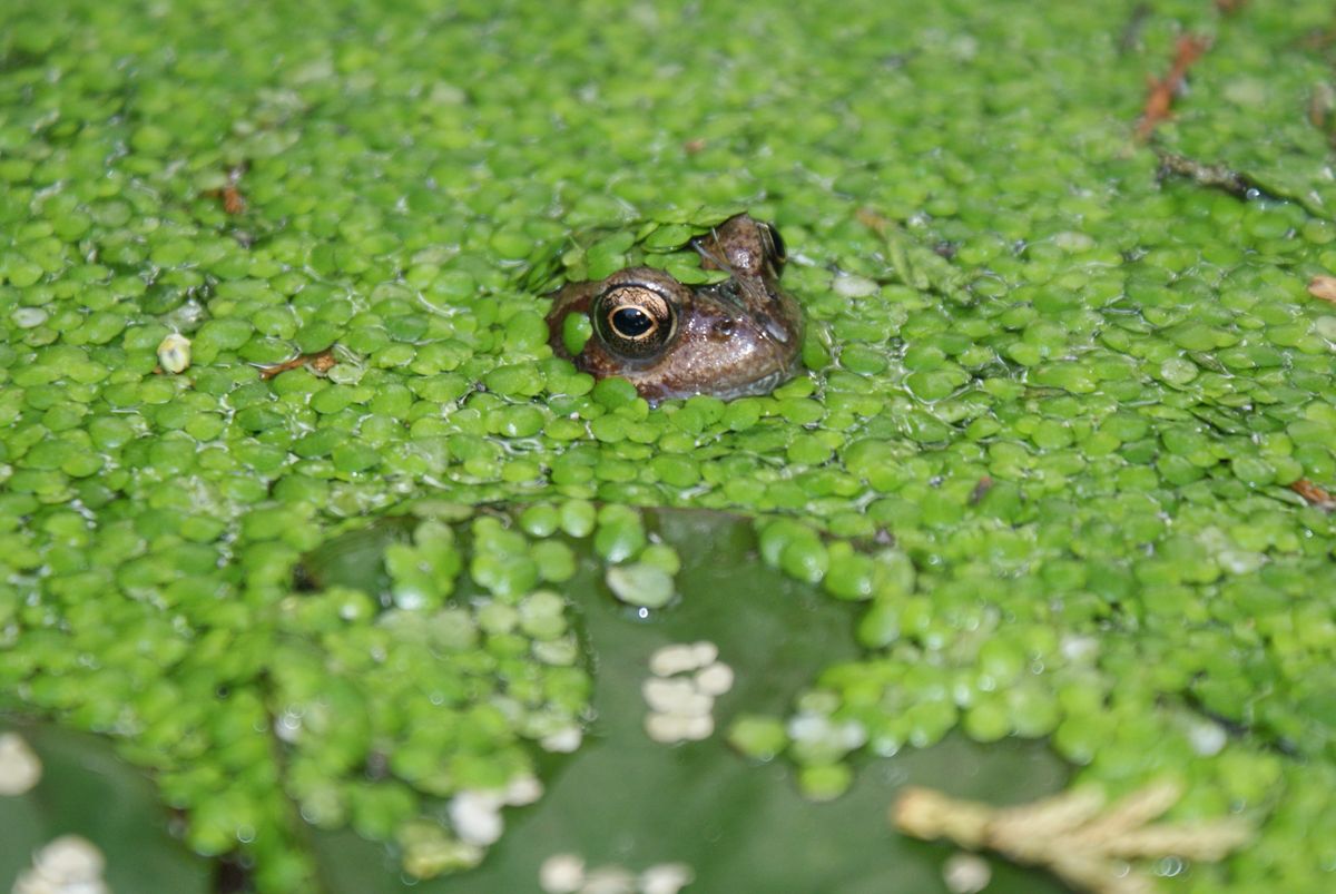 DSC00451.JPG