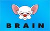 pinky-and-the-brain-flag-wallpaper-2560x1600-large2.jpg